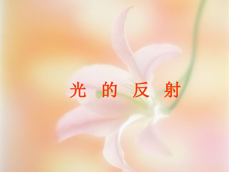 光的反射pptflash课件.ppt_第1页