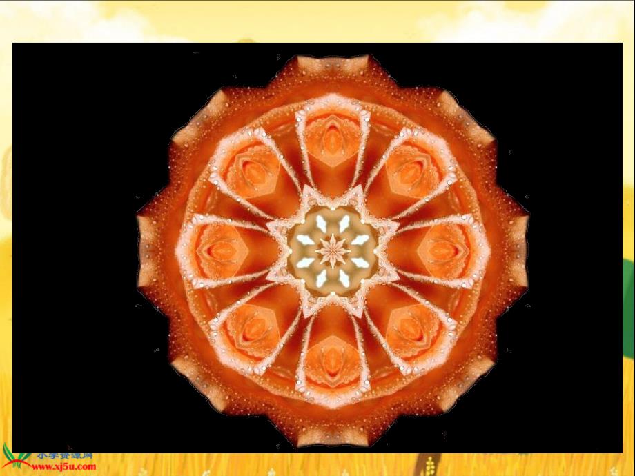 北师大版数学六年级上册欣赏与设计课件.ppt.ppt_第3页