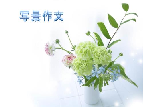 写景作文教案PPT课件.ppt