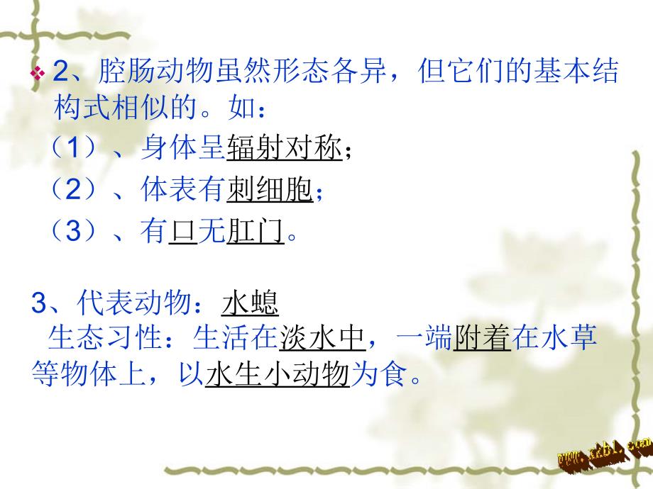 人教版初中生物八上5.1动物的主要类群复习课课件共32张PPT.ppt_第3页