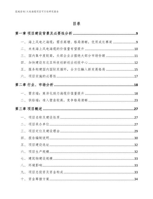 大连海缆项目可行性研究报告模板范本.docx