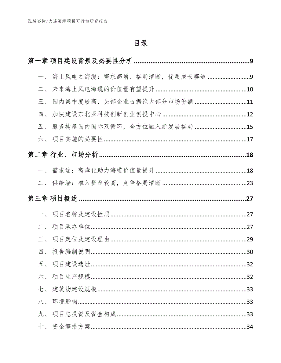 大连海缆项目可行性研究报告模板范本.docx_第1页