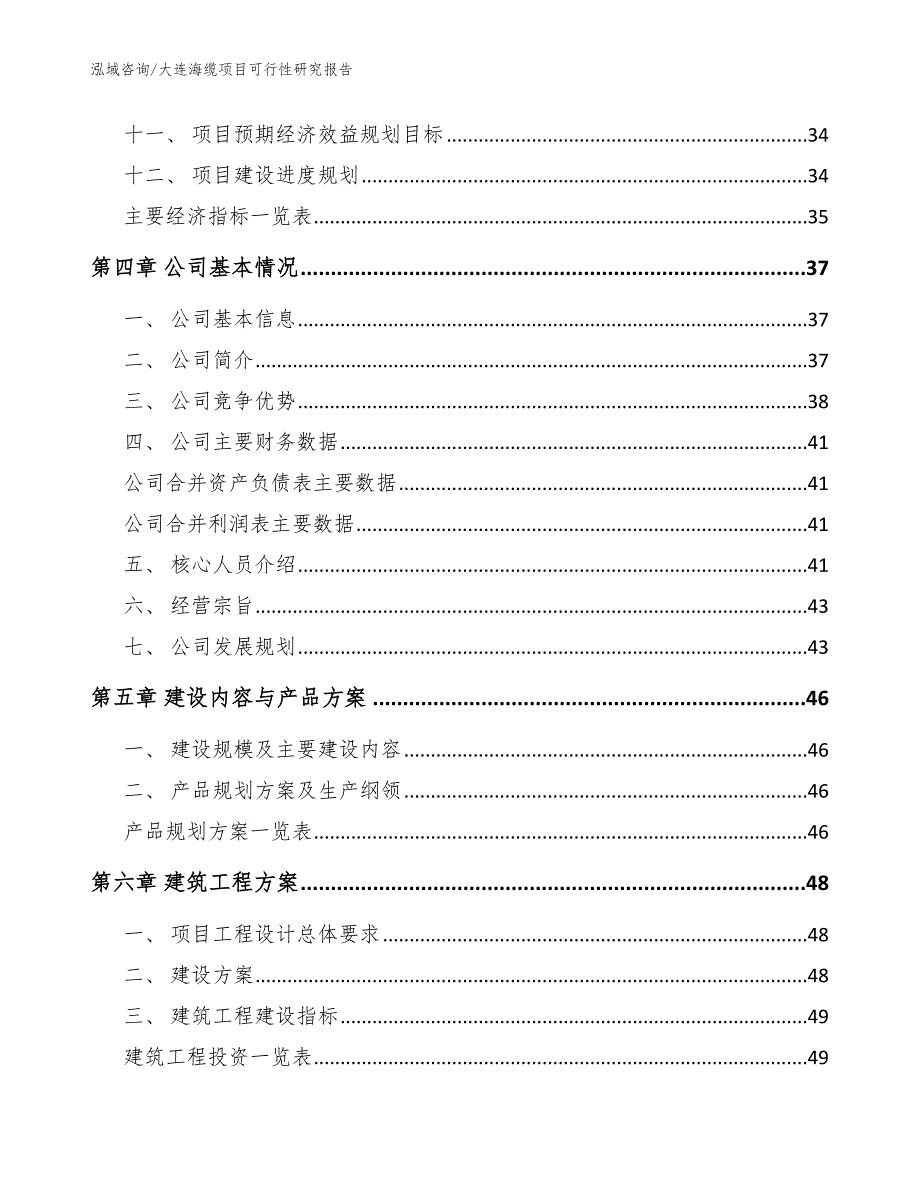 大连海缆项目可行性研究报告模板范本.docx_第2页
