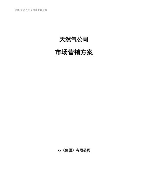 天然气公司市场营销方案范文.docx