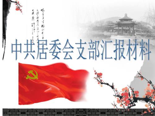 党支部汇报材料.ppt