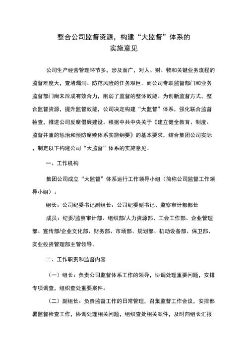 公司构建大监督体系的实施方案.docx