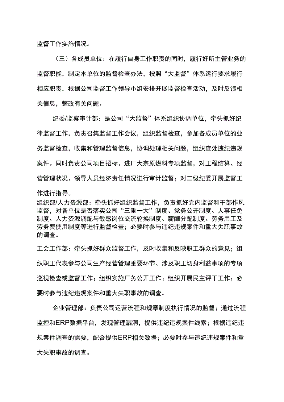 公司构建大监督体系的实施方案.docx_第2页