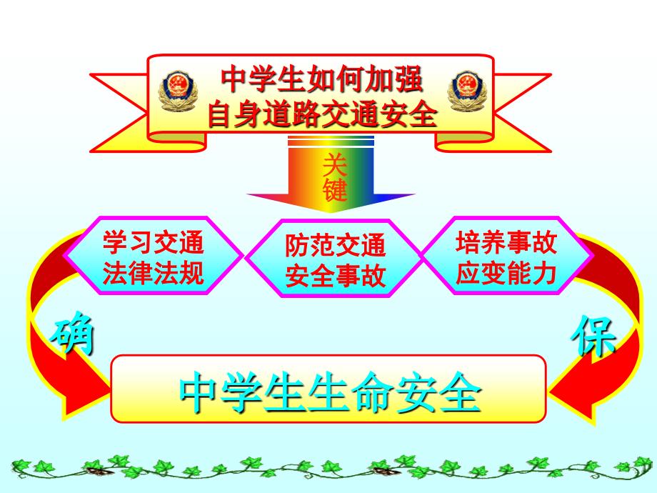 中小学生交通安全宣传讲座.ppt_第2页