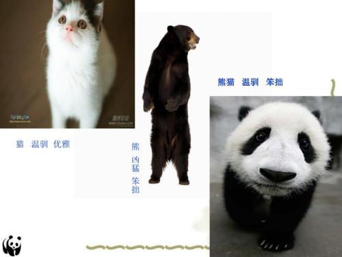 国宝大熊猫PPT课件.ppt