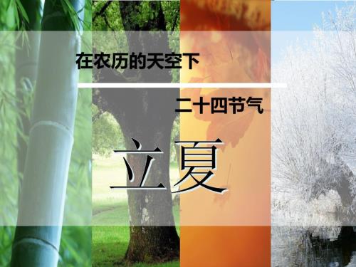 二十四节气立夏.ppt