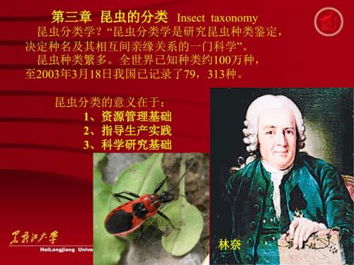 农业昆虫学PPT课件.ppt