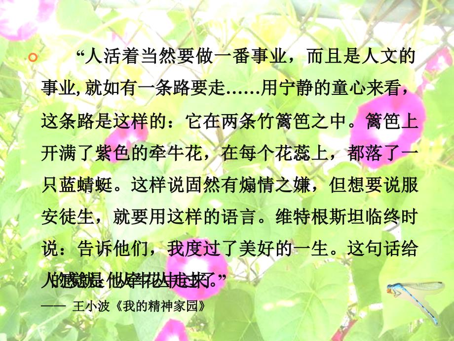 写作基础知识PPT课件.ppt_第2页