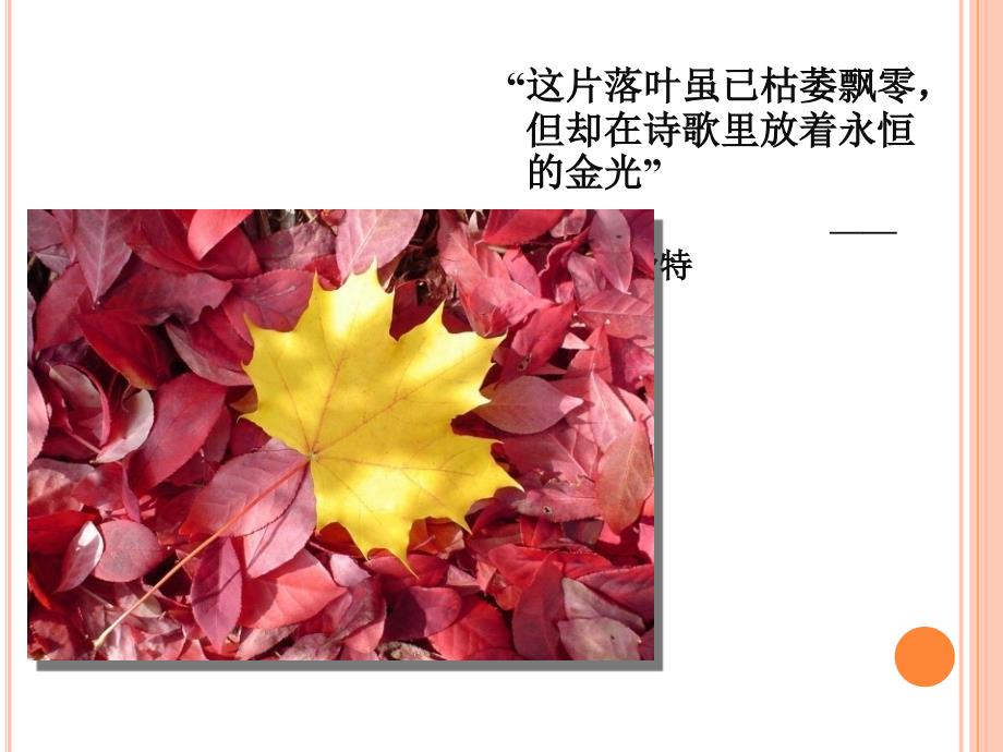 写作基础知识PPT课件.ppt_第3页