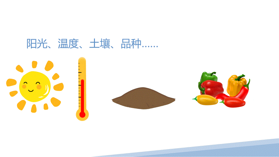 六年级劳动教育3.带着研究去种植一课件.pptx_第3页
