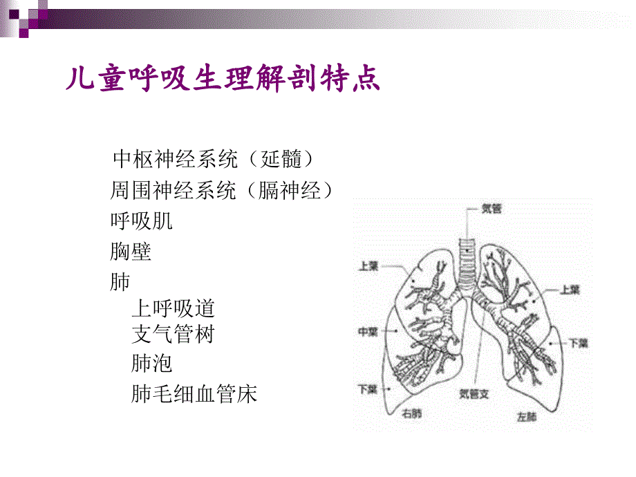 儿童急性呼吸衰竭.PPT_第3页
