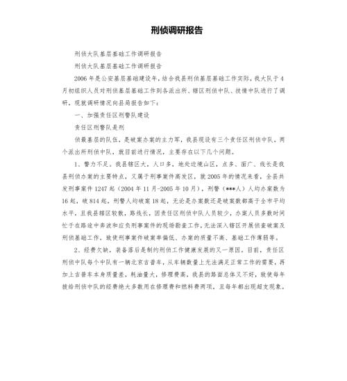 刑侦调研报告.docx