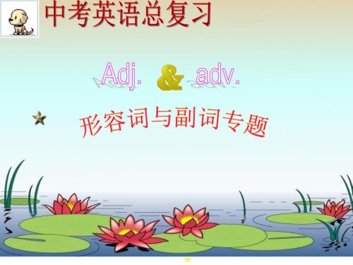 中考形容词副词专题复习课件.ppt