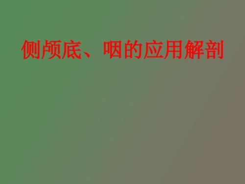 侧颅底咽的应用解剖.ppt