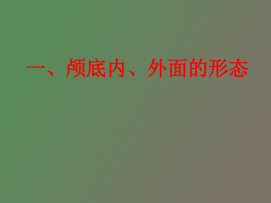 侧颅底咽的应用解剖.ppt_第2页