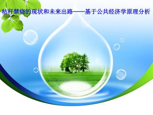 公共经济学案例秸秆禁烧的现状和出路.ppt