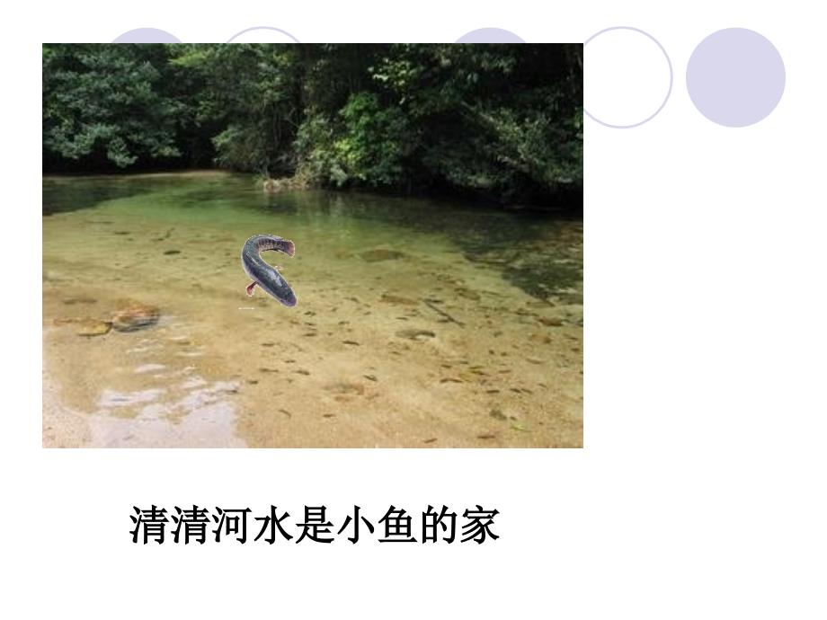 主题班会校园班级是我家课件.ppt_第3页