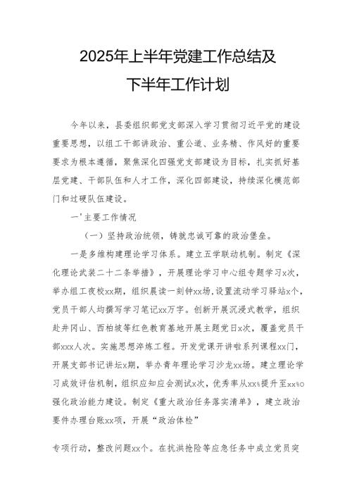 2025年上半年《党建工作总结》及下一步工作打算(4).docx