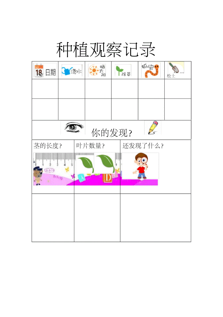 完整版大班种植观察记录改.doc_第1页