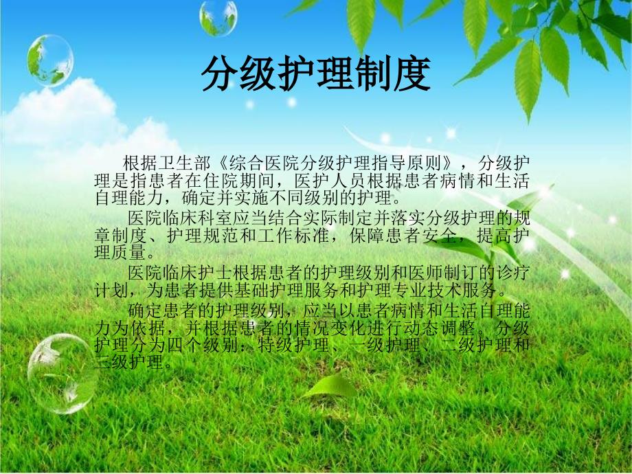 分级护理制度.ppt_第2页