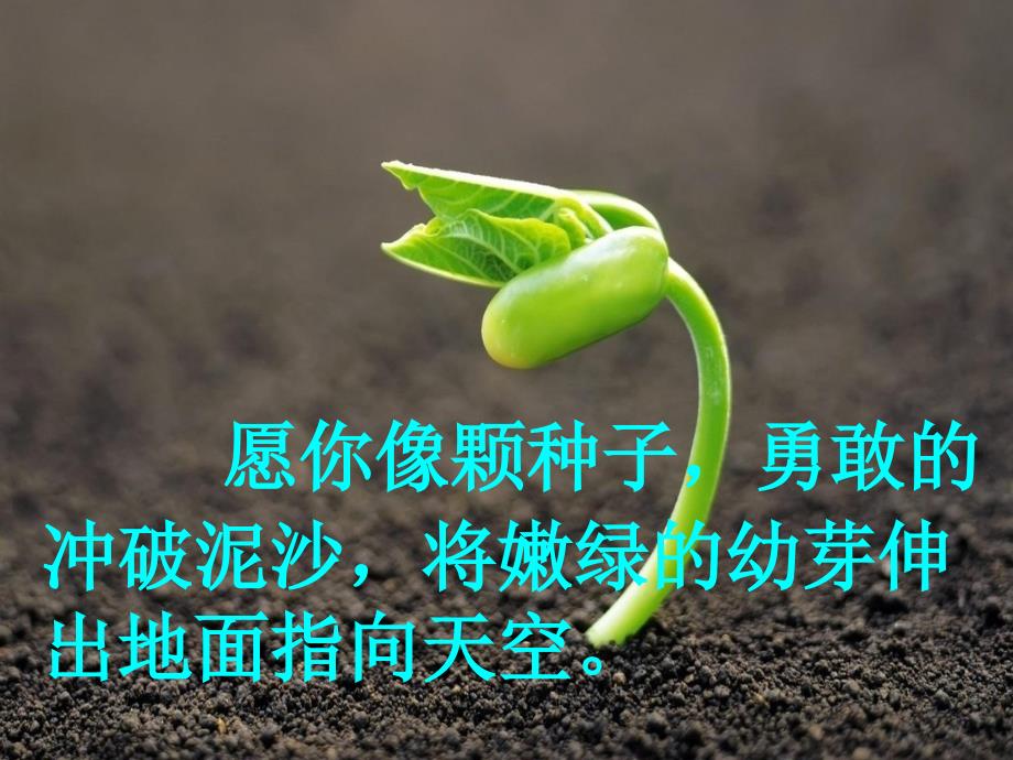 中考冲刺百日誓师大会ppt课件.ppt_第3页