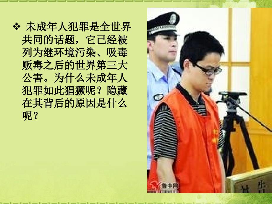 同犯罪行为做斗争避免误入犯罪歧途课件.ppt_第3页