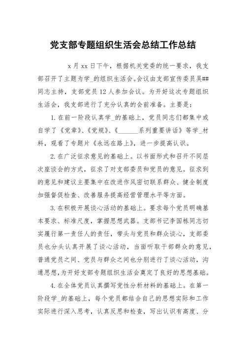 党支部专题组织生活会总结工作总结.docx