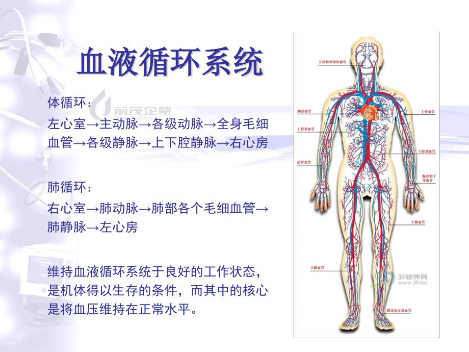 主动脉内球囊反搏泵.ppt_第3页