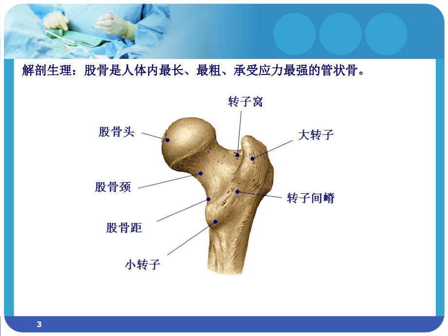 医学课件股骨骨折护理ppt演示课件.ppt_第3页