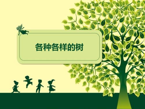 各种各样的树美术教案.ppt