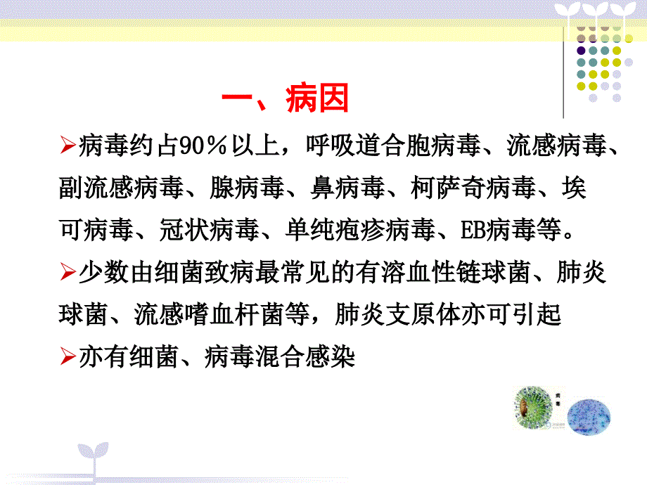 儿科小儿上呼吸道感染.ppt_第3页