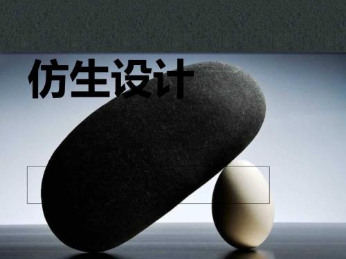仿生设计PPT课件.ppt