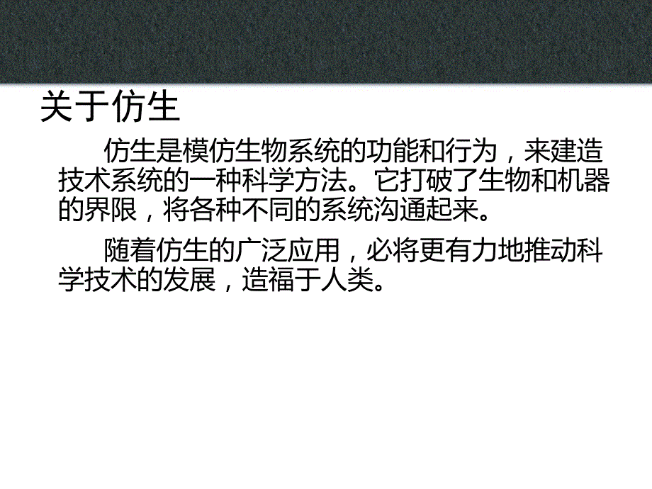 仿生设计PPT课件.ppt_第2页