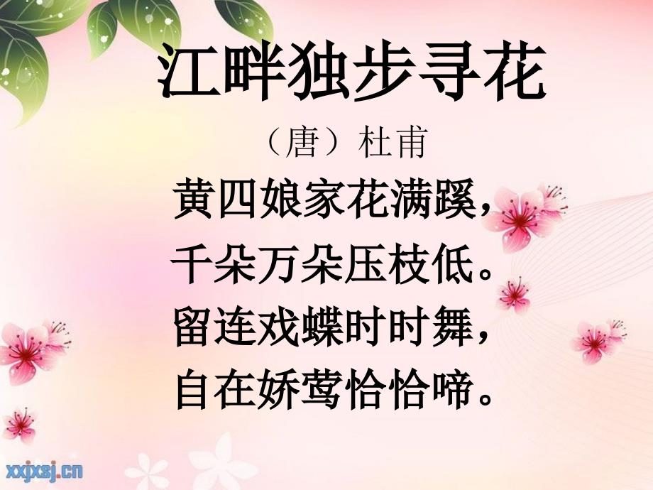 古诗江畔独步寻花课件.ppt_第3页