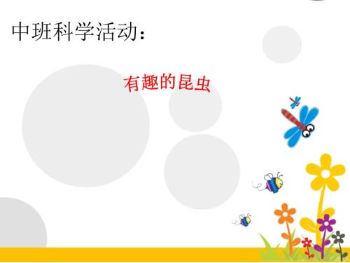 中班科学活动有趣的昆虫.ppt