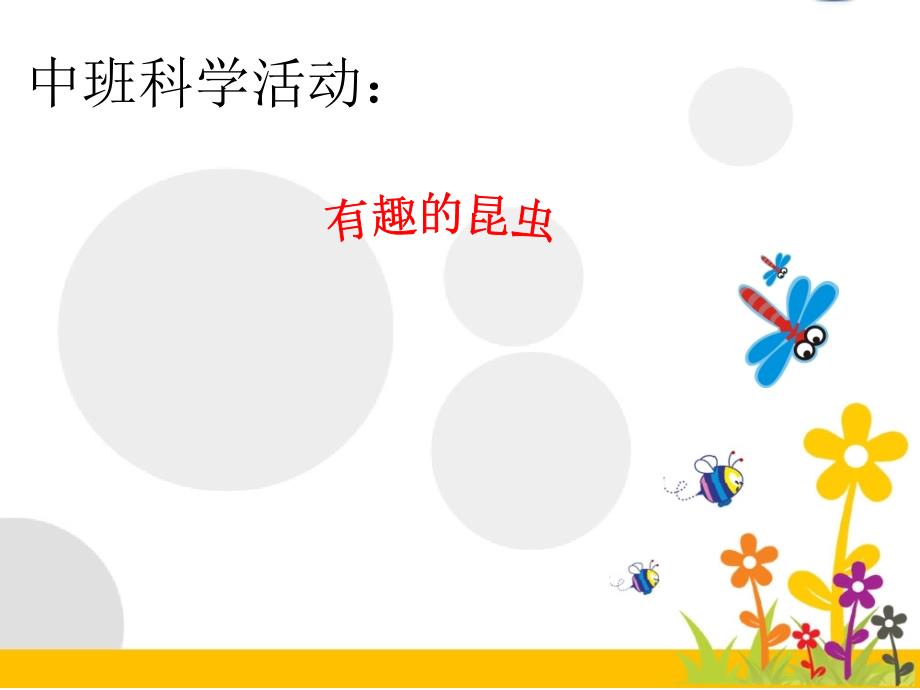 中班科学活动有趣的昆虫.ppt_第1页