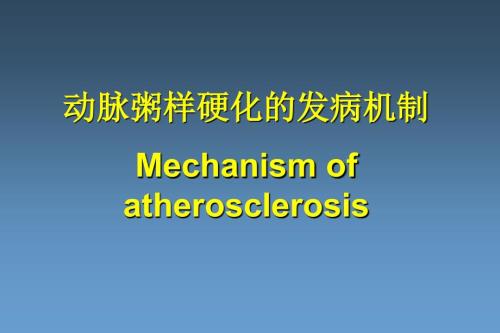动脉粥样硬化的发生机制课件.pptx