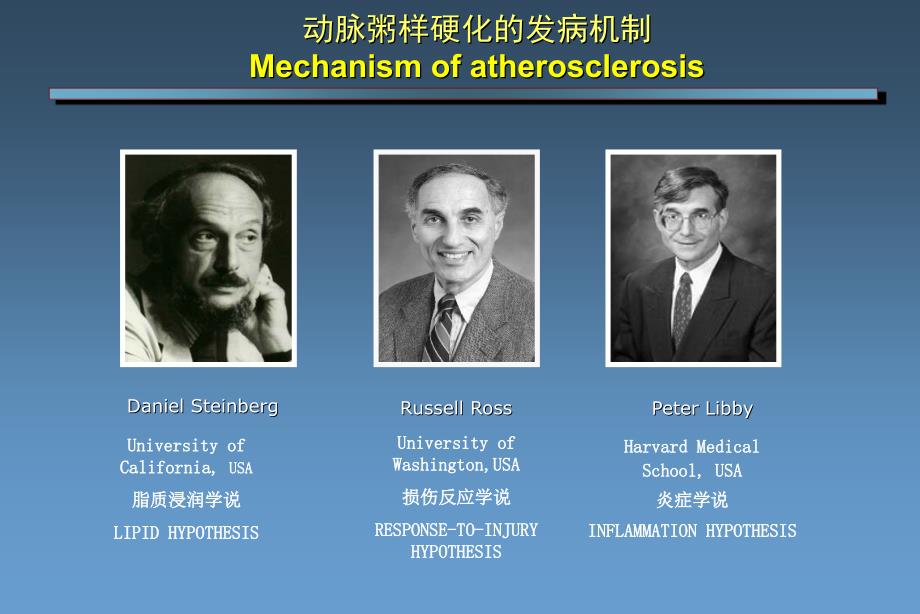 动脉粥样硬化的发生机制课件.pptx_第3页