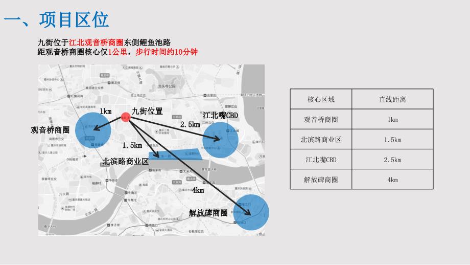 九街个案分析.pptx_第1页