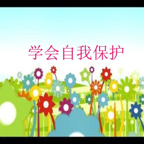 低年级护蕾活动课堂课件.ppt