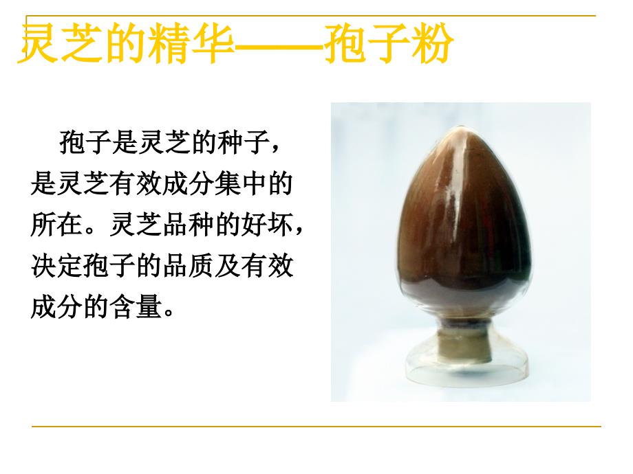 医学专家谈灵芝孢子粉.ppt_第2页