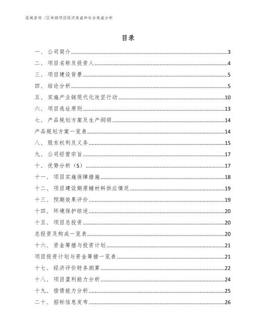 区块链项目经济效益和社会效益分析模板范本.docx