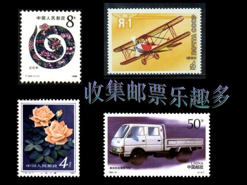 二下探究收集邮票乐趣多课件.ppt