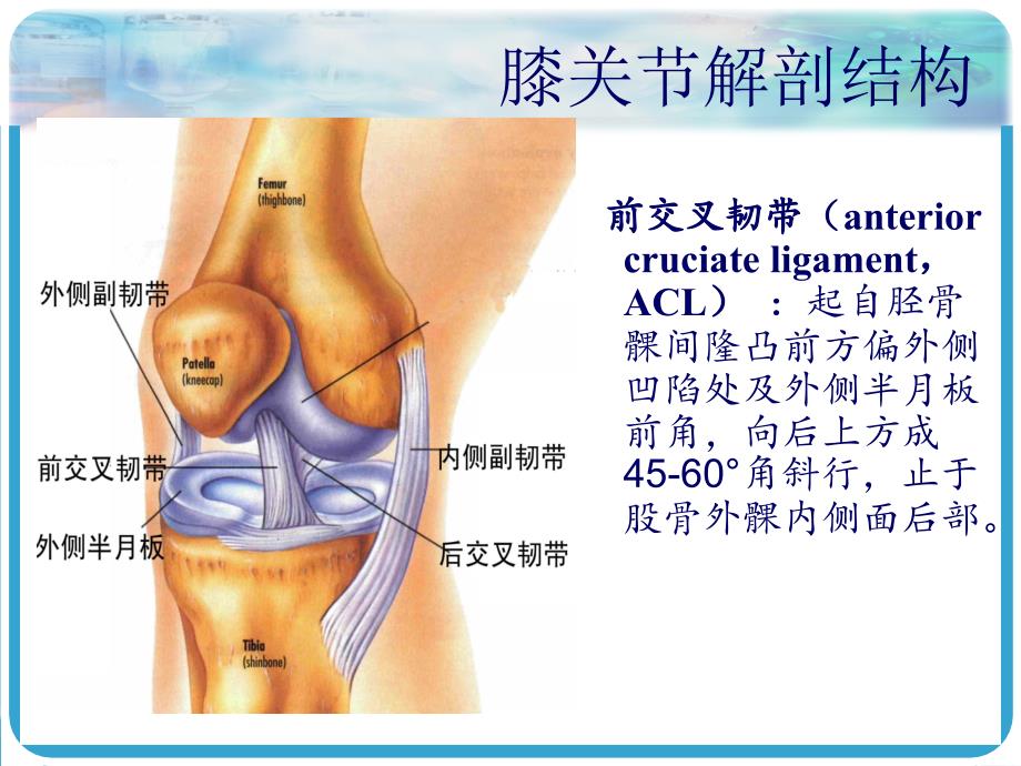 前交叉韧带重建术护理.ppt_第3页