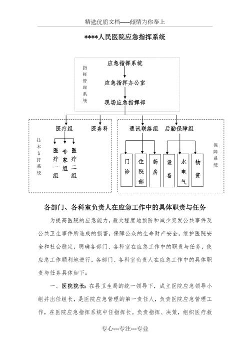 人民医院应急指挥系统共3页.doc