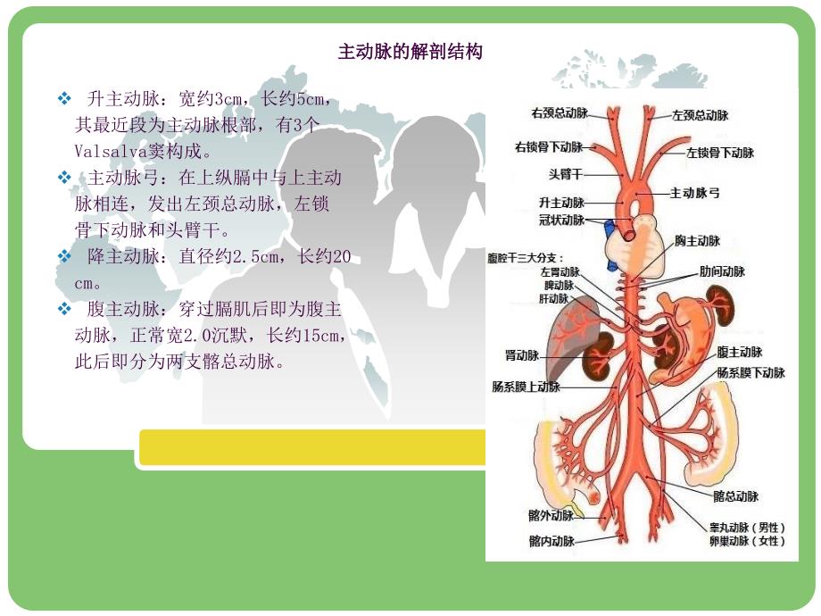 主动脉夹层的病例讨论ppt课件.ppt_第2页